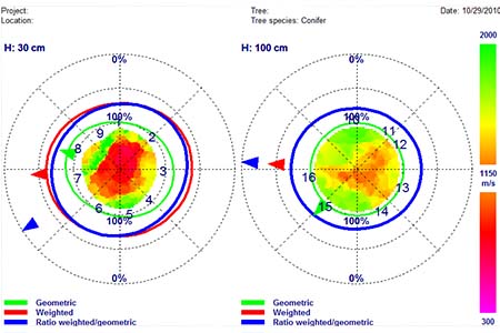 Graphs that allow us at New Day Arborist & Tree Service to analyze the interior of the tree with sonic tomography in Vancouver, WA