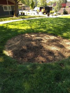 After stump removal and clean up done by New Day Arborist & Tree Service in Vancouver, WA.